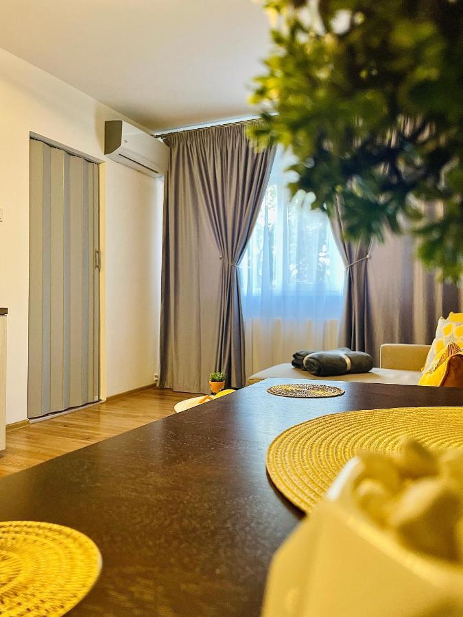 S&S Apartment Studio At Ground Floor Timisoara Town !!! Parcare La Locatie !! Eksteriør bilde