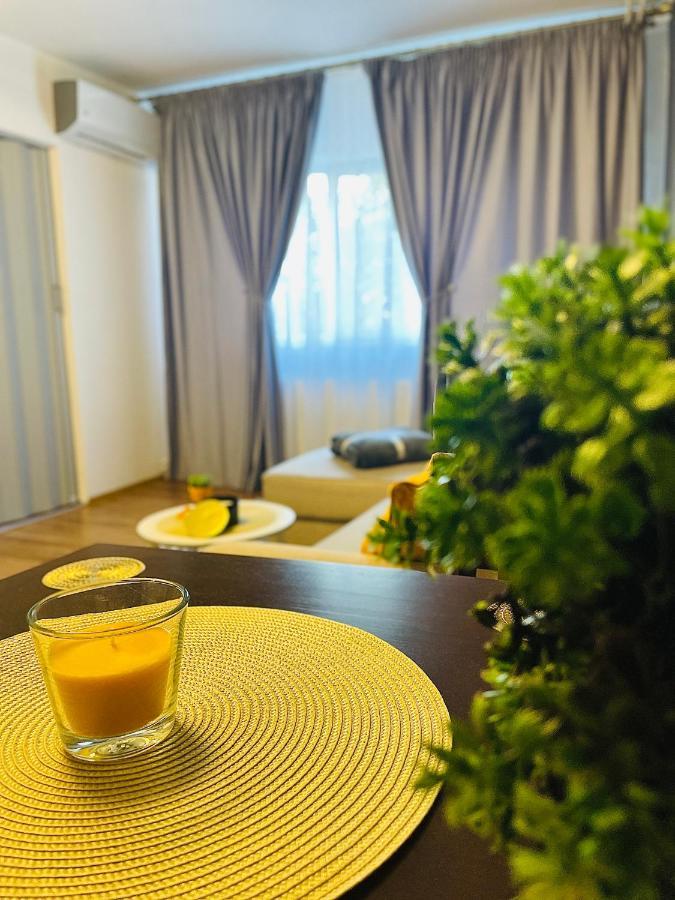 S&S Apartment Studio At Ground Floor Timisoara Town !!! Parcare La Locatie !! Eksteriør bilde