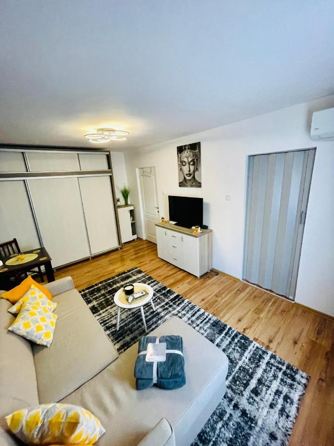 S&S Apartment Studio At Ground Floor Timisoara Town !!! Parcare La Locatie !! Eksteriør bilde
