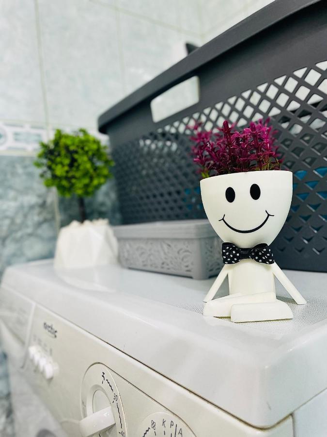 S&S Apartment Studio At Ground Floor Timisoara Town !!! Parcare La Locatie !! Eksteriør bilde