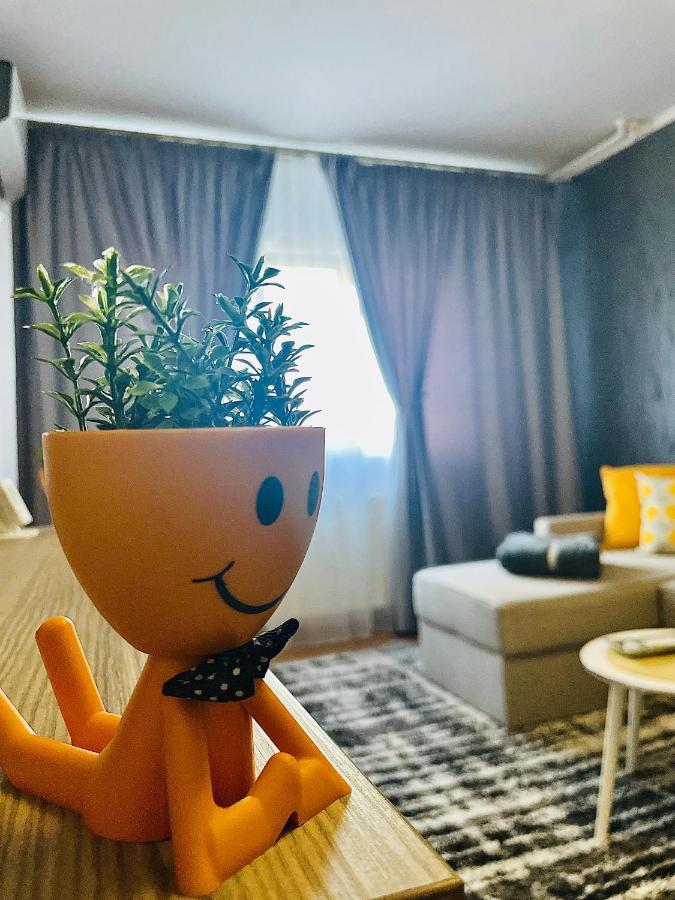 S&S Apartment Studio At Ground Floor Timisoara Town !!! Parcare La Locatie !! Eksteriør bilde